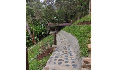 DAPA  en dapa LA MEJOR FINCA DAPA CALI vista panorámica bosque nativo