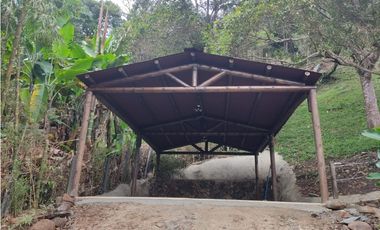 DAPA  en dapa LA MEJOR FINCA DAPA CALI vista panorámica bosque nativo