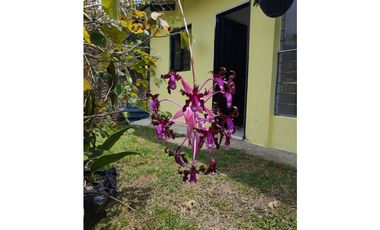 DAPA CASA SENCILLA PARA ALQUILAR