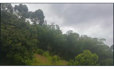 DAPA EL MEJOR LOTE CON AGUA 23OOO M2 SEMIPLANO  MEJOR IMPOSIBLE