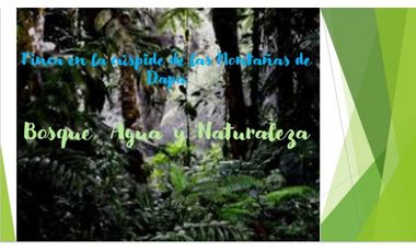 DAPA ALTO DAPA FINCA EN DAPA CON BOSQUE RESERVA NATURAL Y AGUA