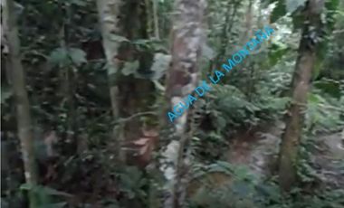 DAPA ALTO DAPA FINCA EN DAPA CON BOSQUE RESERVA NATURAL Y AGUA