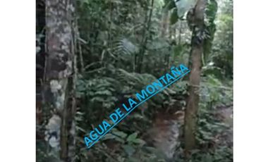 DAPA ALTO DAPA FINCA EN DAPA CON BOSQUE RESERVA NATURAL Y AGUA