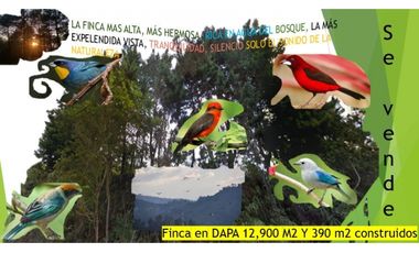 DAPA ALTO DAPA FINCA EN DAPA CON BOSQUE RESERVA NATURAL Y AGUA