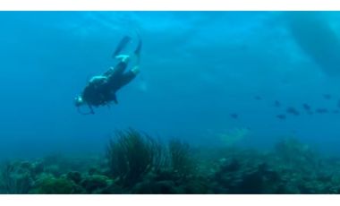 PROVIDENCIA LA ISLA PARADISIACA DEL AMOR Y LA NATURALEZA EN ARMONA