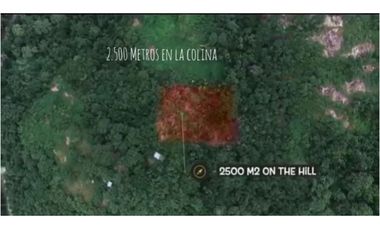 PROVIDENCIA LA ISLA PARADISIACA DEL AMOR Y LA NATURALEZA EN ARMONA