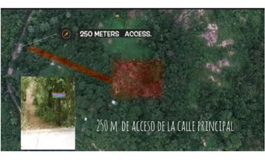 PROVIDENCIA LA ISLA PARADISIACA DEL AMOR Y LA NATURALEZA EN ARMONA