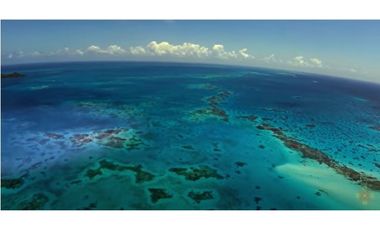 PROVIDENCIA LA ISLA PARADISIACA DEL AMOR Y LA NATURALEZA EN ARMONA