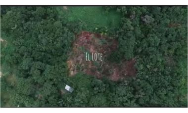 PROVIDENCIA LA ISLA PARADISIACA DEL AMOR Y LA NATURALEZA EN ARMONA