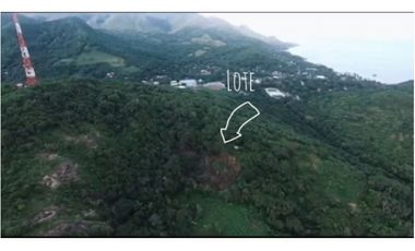 PROVIDENCIA LA ISLA PARADISIACA DEL AMOR Y LA NATURALEZA EN ARMONA