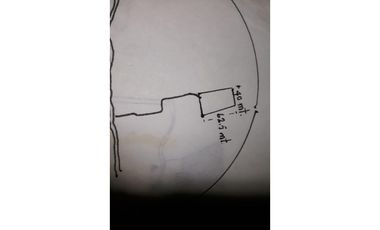 PROVIDENCIA LA ISLA PARADISIACA DEL AMOR Y LA NATURALEZA EN ARMONA