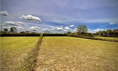 Venta Lote CASAS NO ADOSADAS Parcelacion Llanogrande