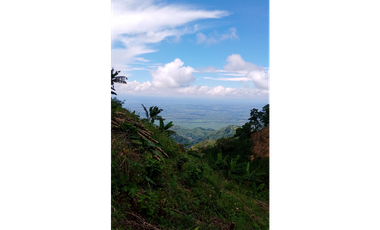Venta de Finca Platanera y Cafetera en Balboa, Risaralda 