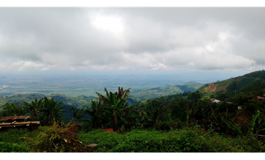 Venta de Finca Platanera y Cafetera en Balboa, Risaralda 