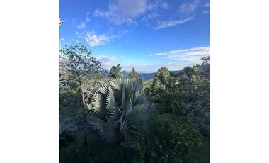 CASA CAMPESTRE EN VENTA EN MEDIO DAPA 600M2 AL