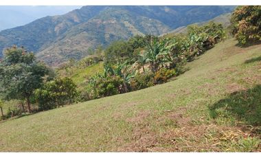 Venta De Finca En Sopetran