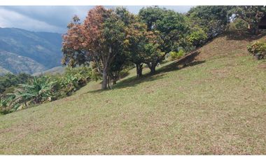 Venta De Finca En Sopetran