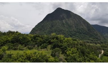 VENTA LOTE CAMPESTRE PARCELACIÓN  VENECIA – ANTIOQUIA