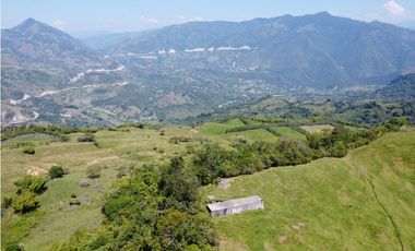 VENTA LOTE CAMPESTRE PARCELACIÓN  VENECIA – ANTIOQUIA