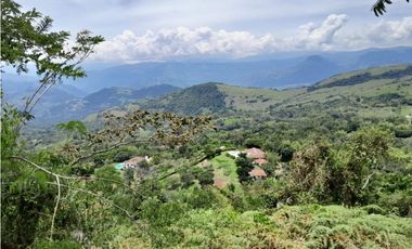 VENTA LOTE CAMPESTRE PARCELACIÓN  VENECIA – ANTIOQUIA