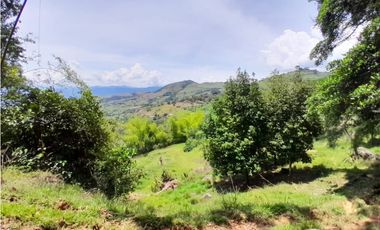 VENTA LOTE CAMPESTRE PARCELACIÓN  VENECIA – ANTIOQUIA