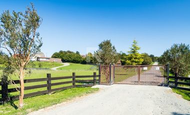 PARCELA EN LOS ULMOS DE MOLINO VIEJO. VISTA VOLCANES.
