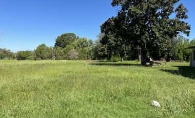 Casa  de campo- 3 dormitorios - Living- Cocina comedor- dependencias! imperdible! Sobre lote de 2500m2- Financiada!!