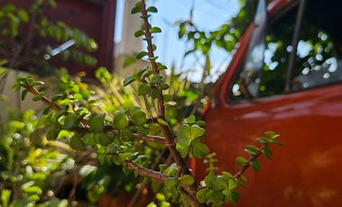 Casa Luna en  Barra de Potosí  Zihutanaejo