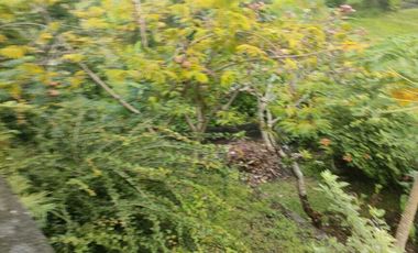 For Sale Lahan premium di Jalan Utama WR supratman