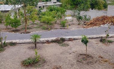 Terreno en venta en Jojutla Morelos