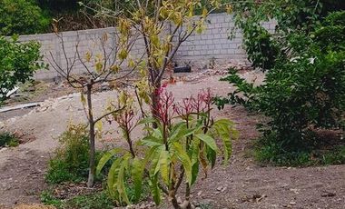 Terreno en venta en Jojutla Morelos