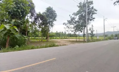 Land for sale in Choeng Doi, Chiang Mai
