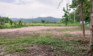 Land for sale in Choeng Doi, Chiang Mai