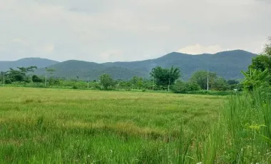 Land for sale in Choeng Doi, Chiang Mai
