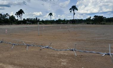 Land for sale in Doi Kaeo, Chiang Mai