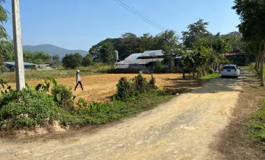 Land for sale in Choeng Doi, Chiang Mai