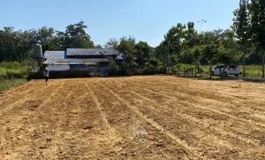 Land for sale in Choeng Doi, Chiang Mai