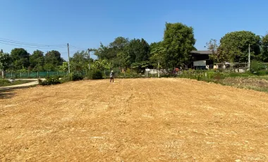 Land for sale in Choeng Doi, Chiang Mai
