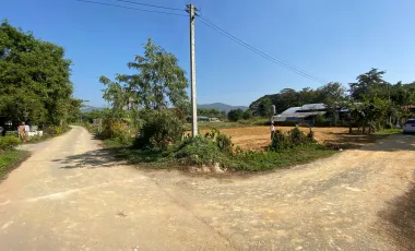 Land for sale in Choeng Doi, Chiang Mai
