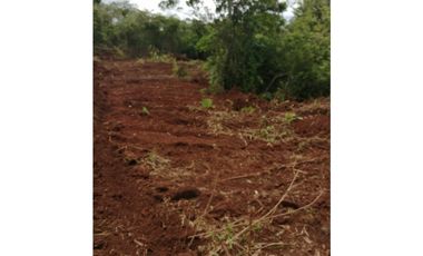 TERRENO / EL COCO / LA CHORRERA / POTRERO GRANDE 7,641M JC