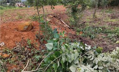 Venta Terreno en la nueva carretera Caimitillo - Corredor Panamá Norte