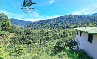 ALQUILO APARTAMENTO CERCANO AL PUEBLO BOQUETE