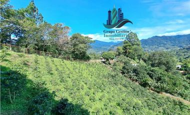 ALQUILO APARTAMENTO CERCANO AL PUEBLO BOQUETE