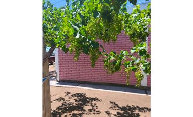 VENTA DE FINCA PRODUCTIVA Y COMPLETA 10 HAS EN PHILLIP, JUNIN, MENDOZA