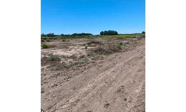 VENTA DE FINCA PRODUCTIVA Y COMPLETA 10 HAS EN PHILLIP, JUNIN, MENDOZA