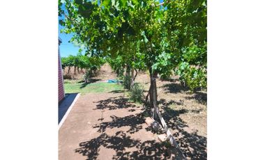 VENTA DE FINCA PRODUCTIVA Y COMPLETA 10 HAS EN PHILLIP, JUNIN, MENDOZA