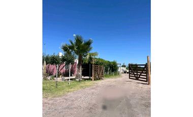 VENTA DE FINCA PRODUCTIVA Y COMPLETA 10 HAS EN PHILLIP, JUNIN, MENDOZA