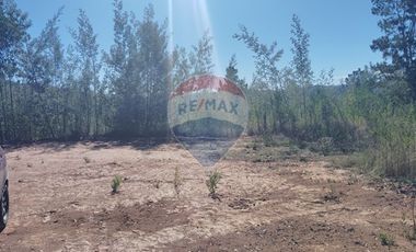 SE VENDE PARCELA SAN IGNACIO