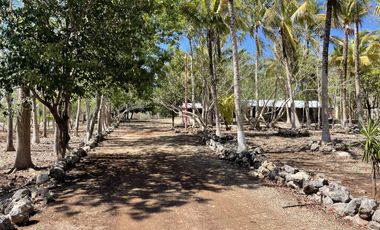Rancho en Venta en Campeche Koben