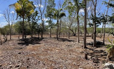 Rancho en Venta en Campeche Koben